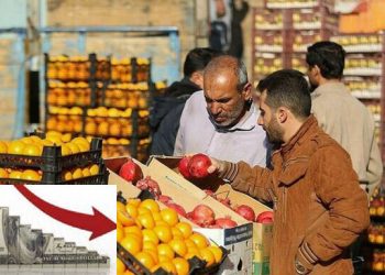 رئیس اتحادیه میوه و تره بار یزد:سرمازدگی عامل گرانی برخی اقلام میوه در بازار است