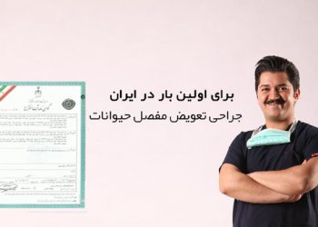 با تلاش یک جراح دامپزشک در یزد اتفاق افتاد؛جراحی تعویض مفصل حیوانات برای اولین بار در ایران