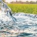 نخستین بازار رسمی آب کشور در دشت یزد- اردکان ایجاد می‌شود