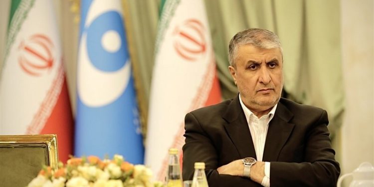 رئیس سازمان انرژی اتمی: آژانس در سال ۲۰۲۴ بیش از ۴۵۰ بازرسی انجام داد / ۲۵ درصد بازرسی‌ها از تأسیسات ایران بود / ظرفیت نصب‌شده ما در مقایسه با جهان ۳ درصد است